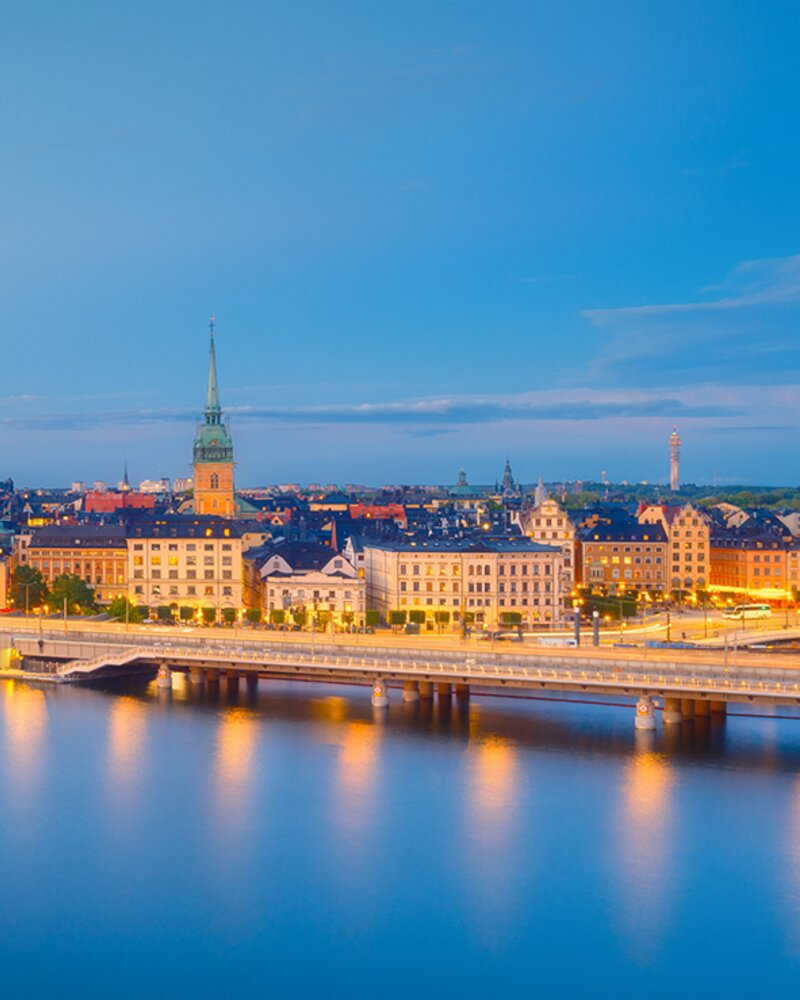 Scandinavian Insights: Strategy & Business Model Innovation